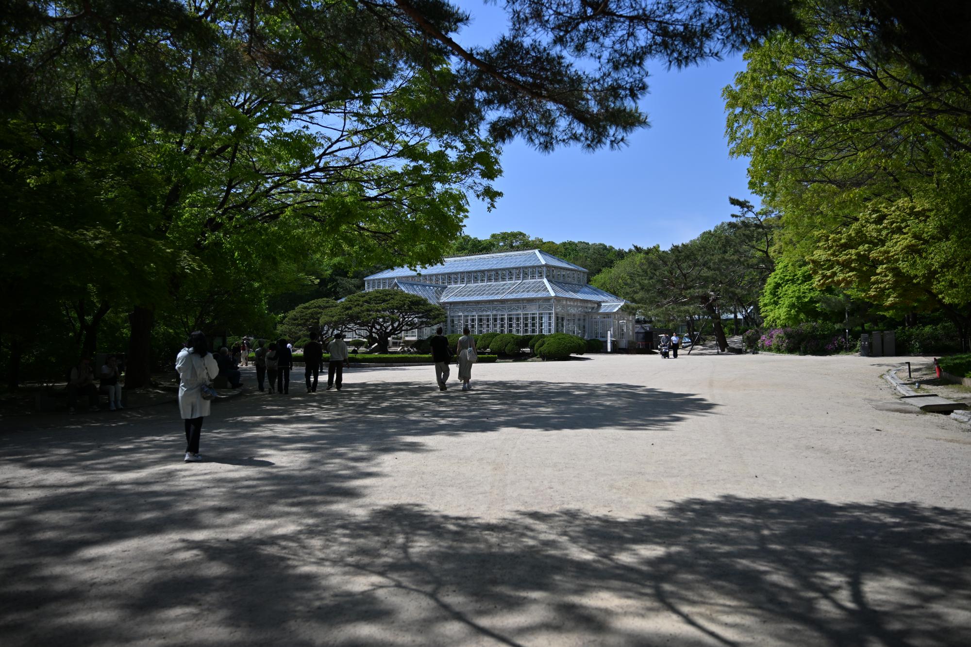 DSC_1059.JPG