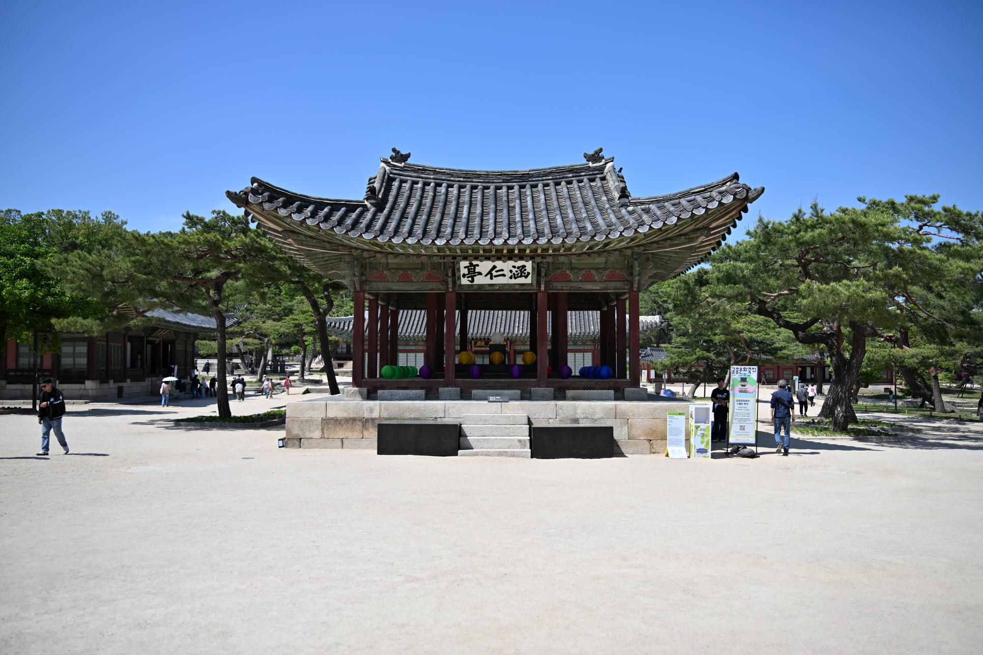 DSC_1037.JPG
