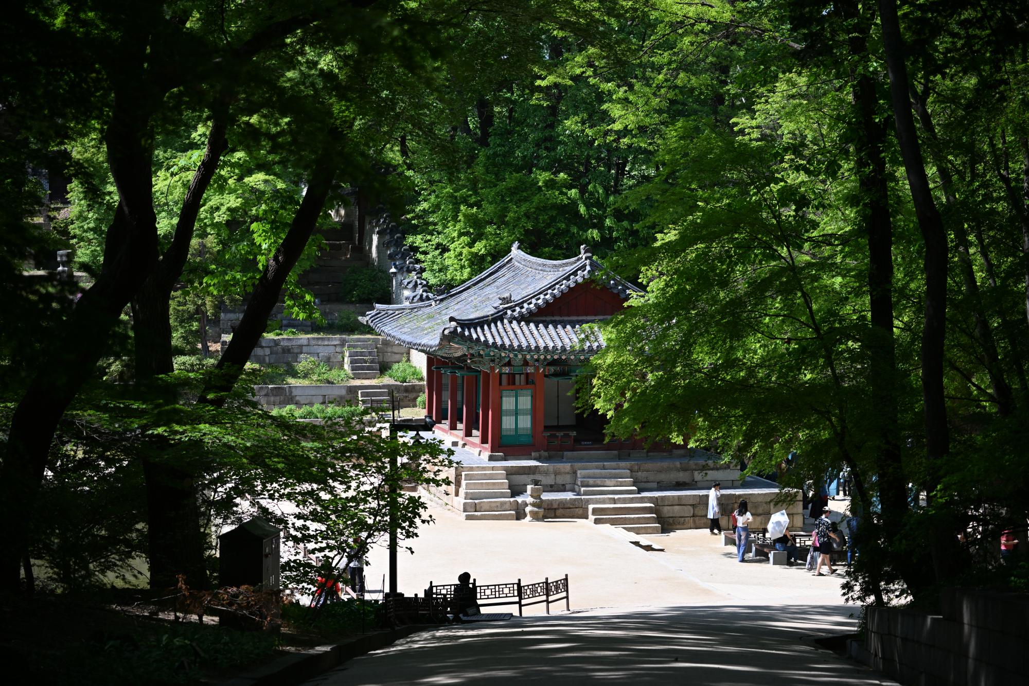 DSC_1070.JPG