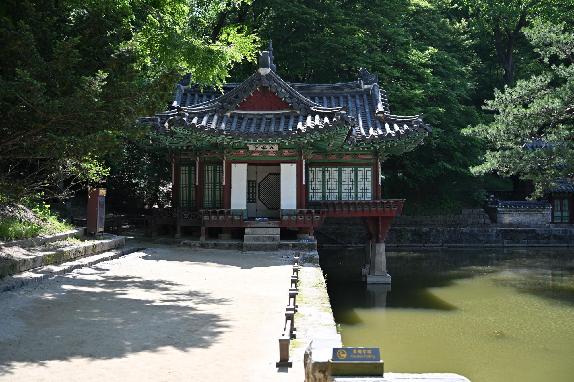 DSC_1078.JPG