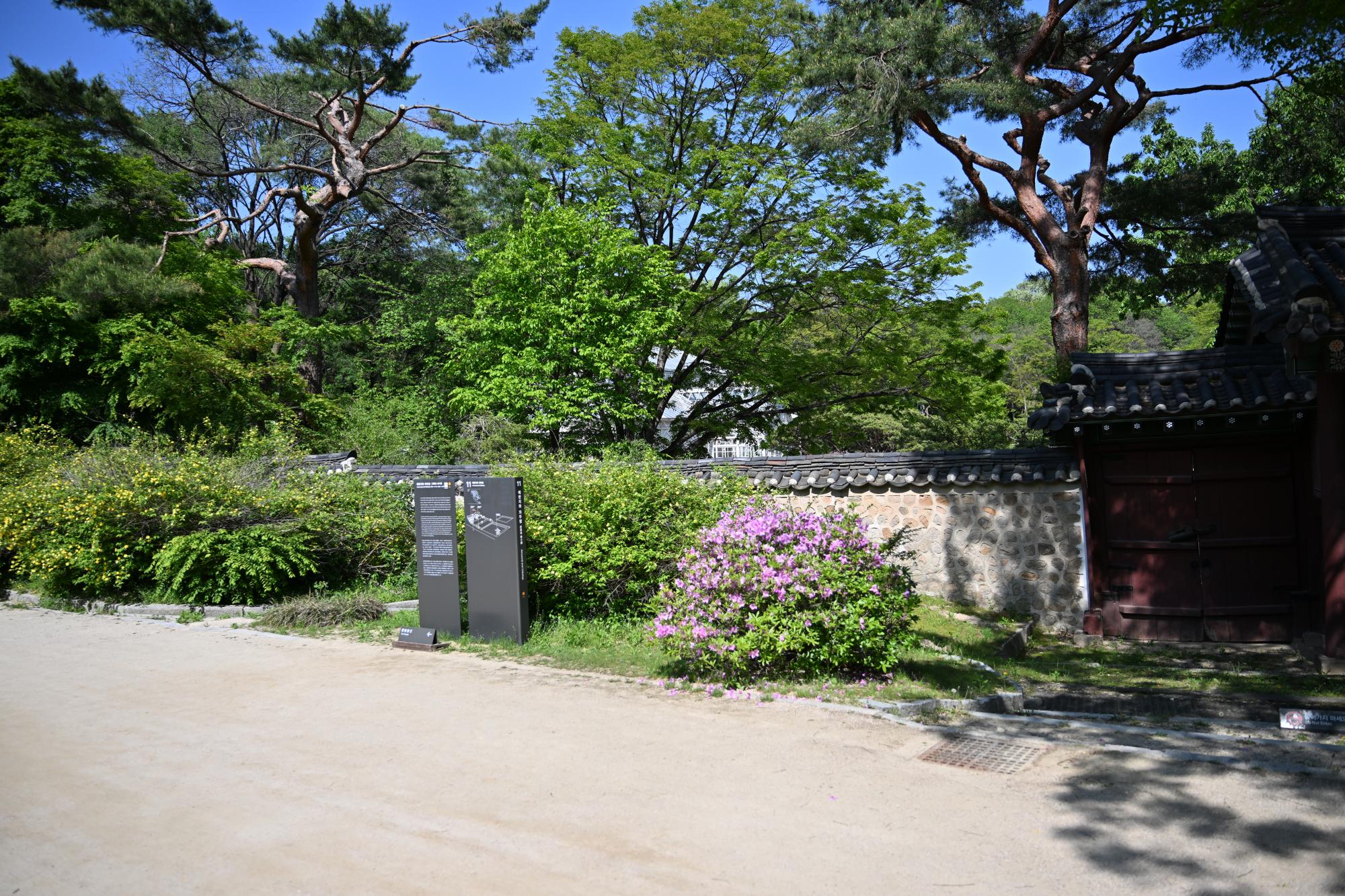 DSC_1088.JPG