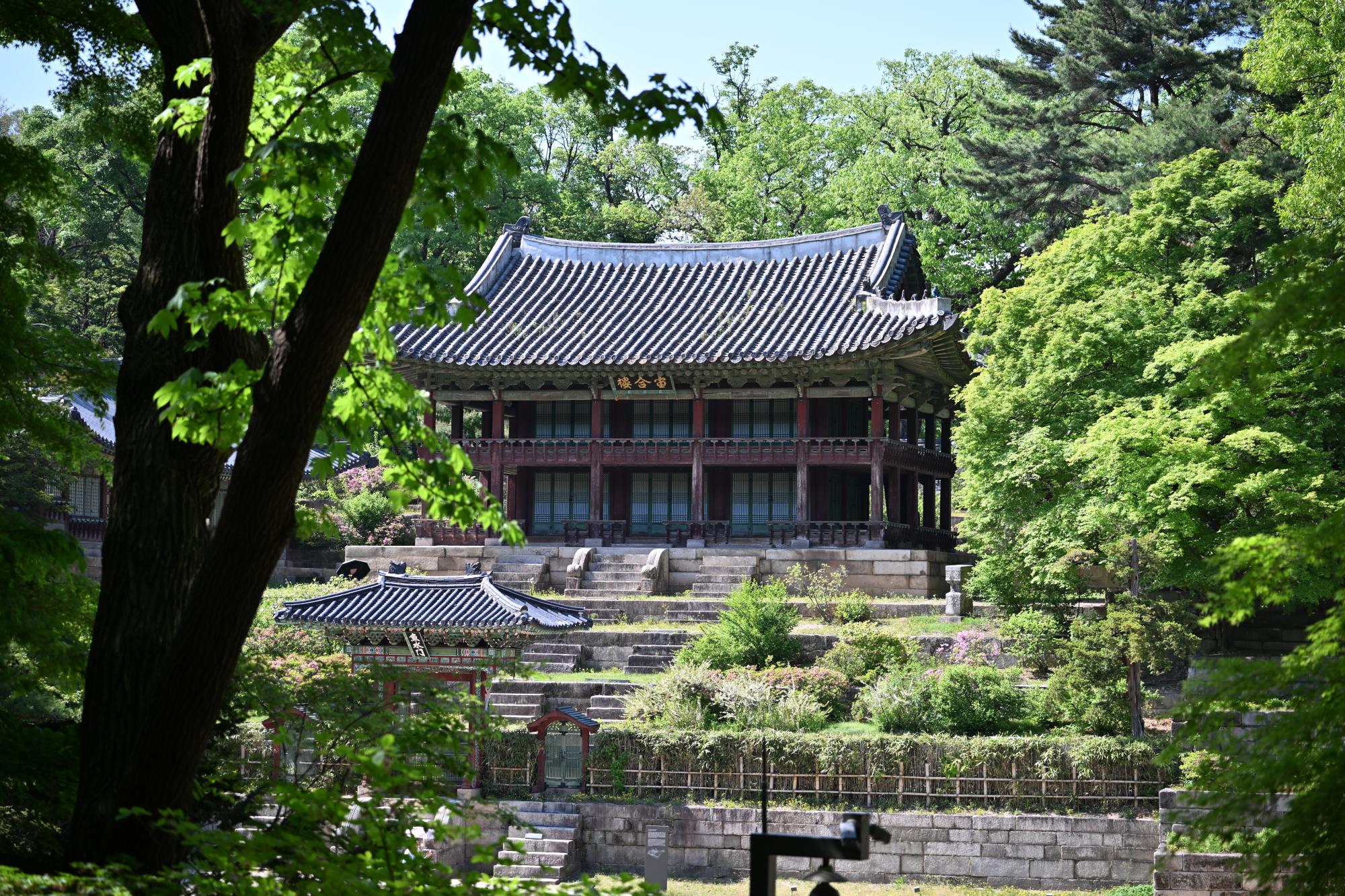 DSC_1072.JPG