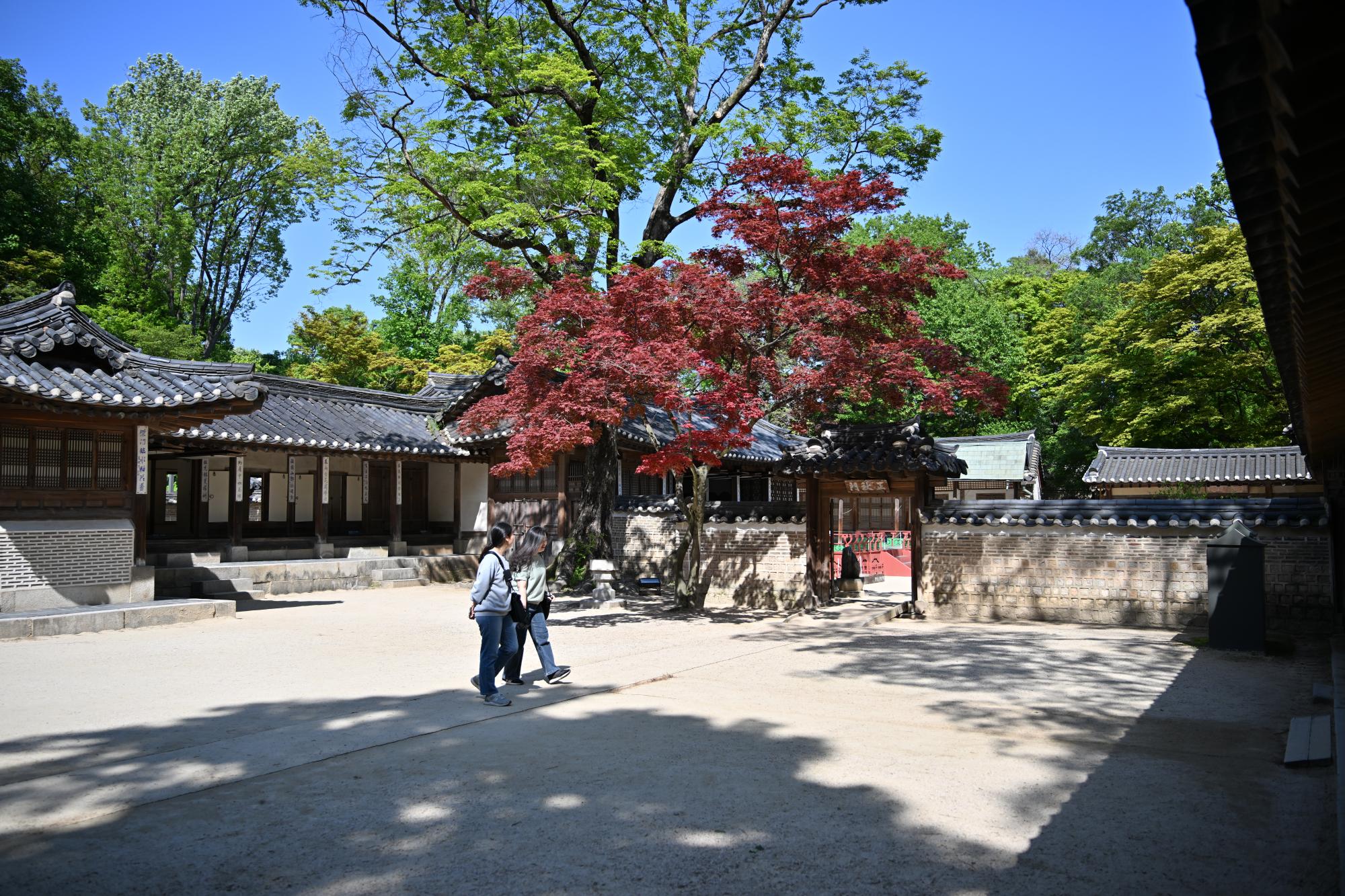 DSC_1096.JPG