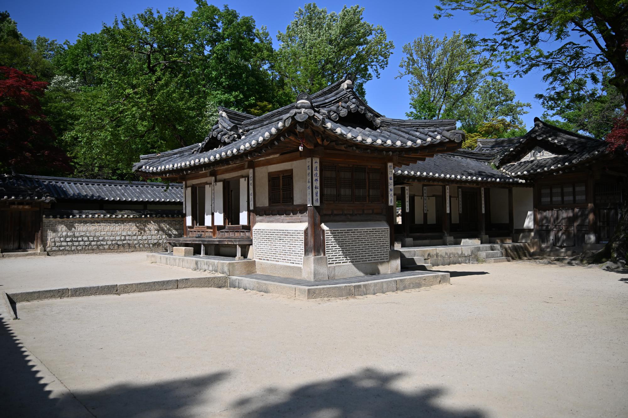DSC_1097.JPG