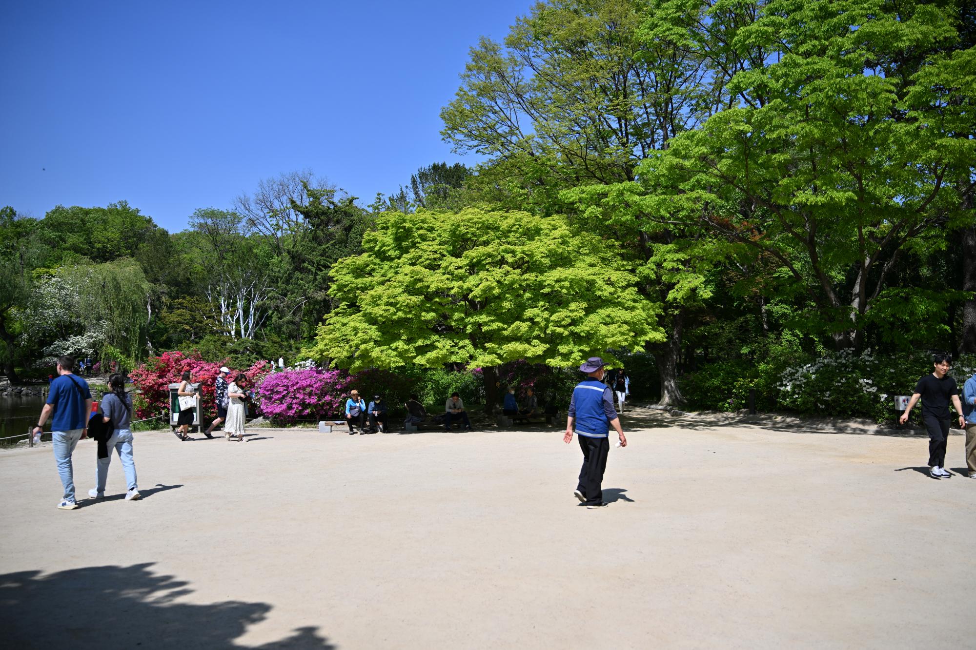 DSC_1042.JPG