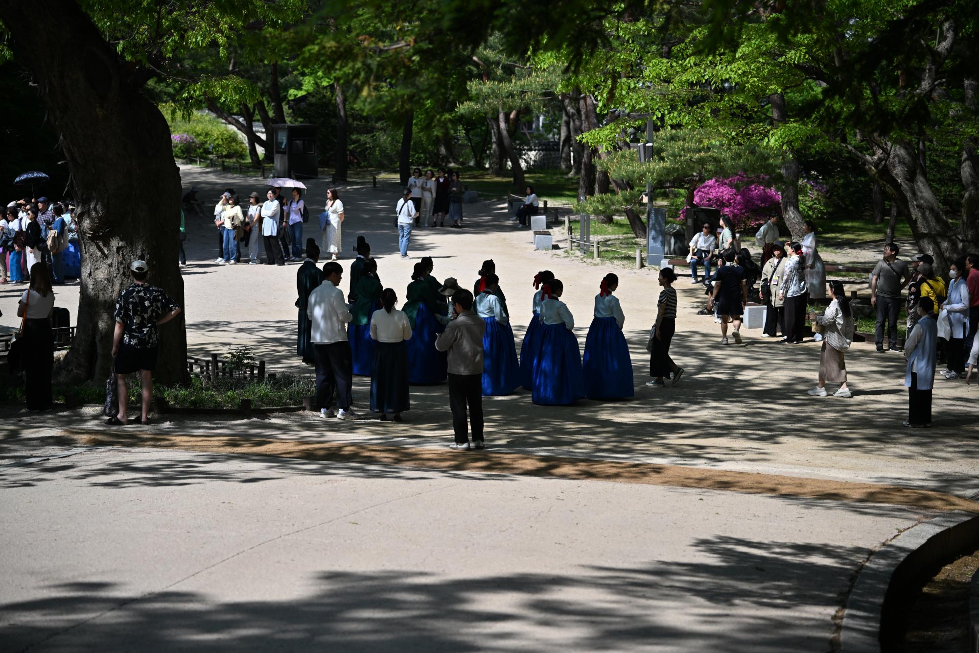 DSC_1075.JPG