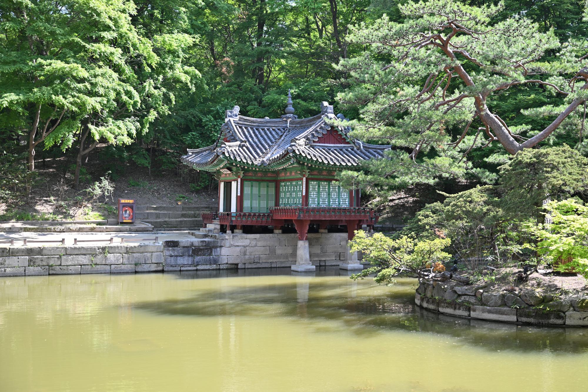 DSC_1080.JPG