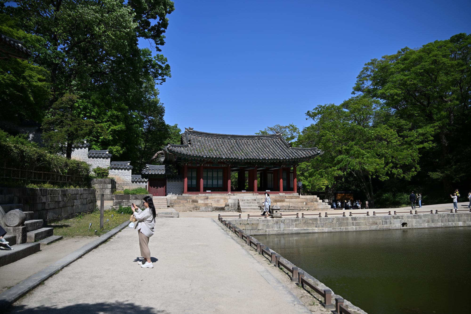 DSC_1082.JPG