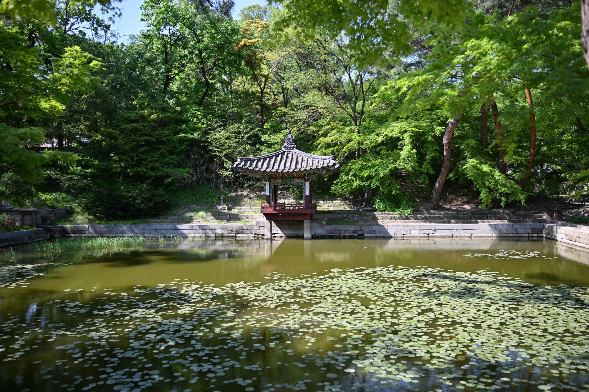 DSC_1090.JPG