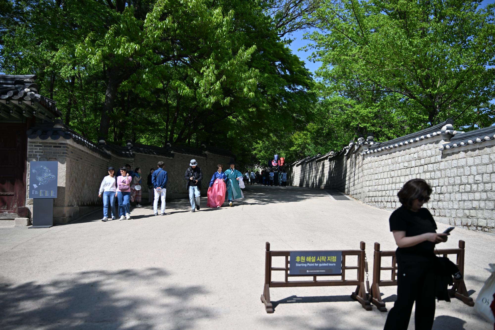 DSC_1067.JPG