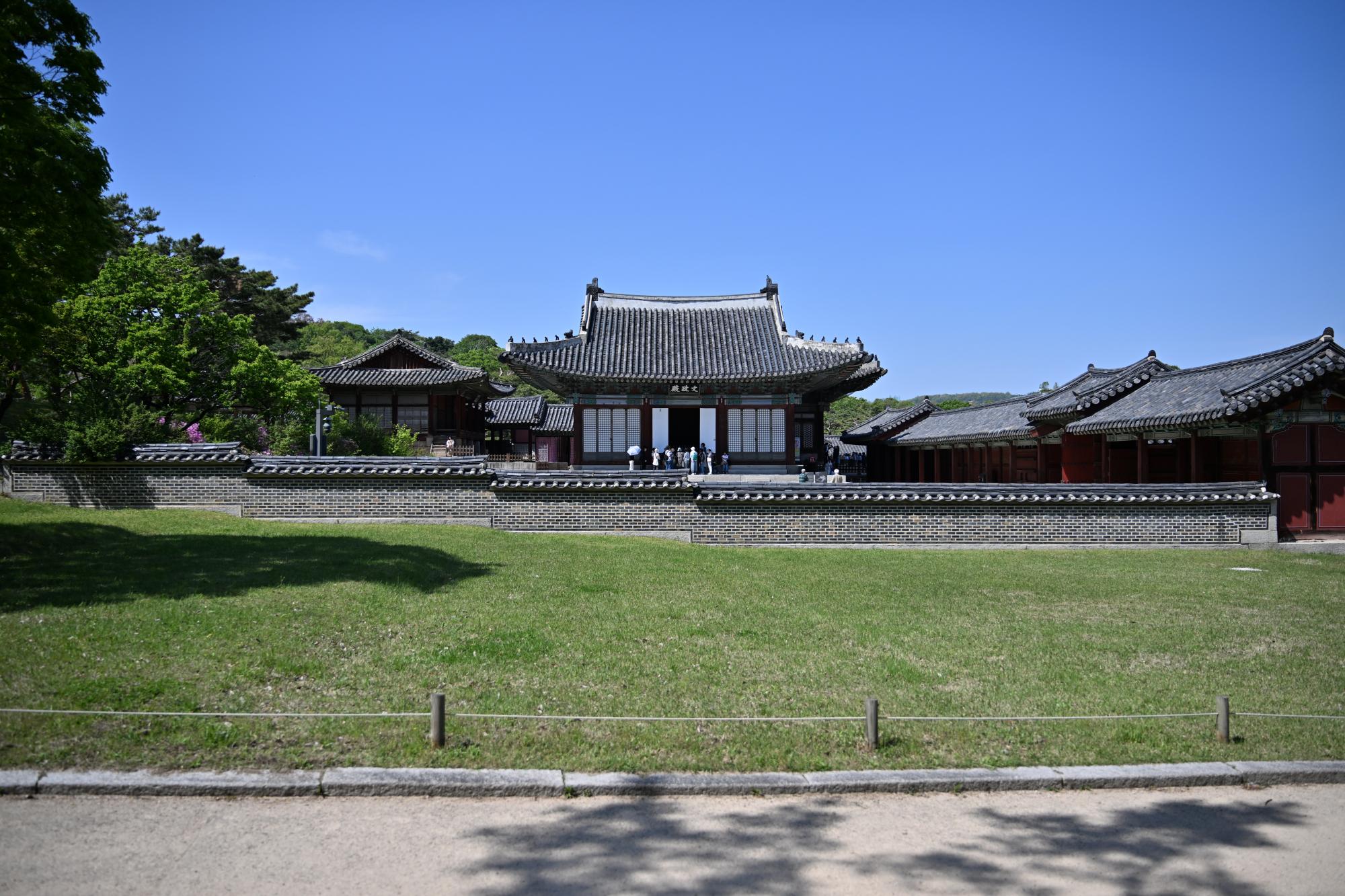 DSC_1040.JPG