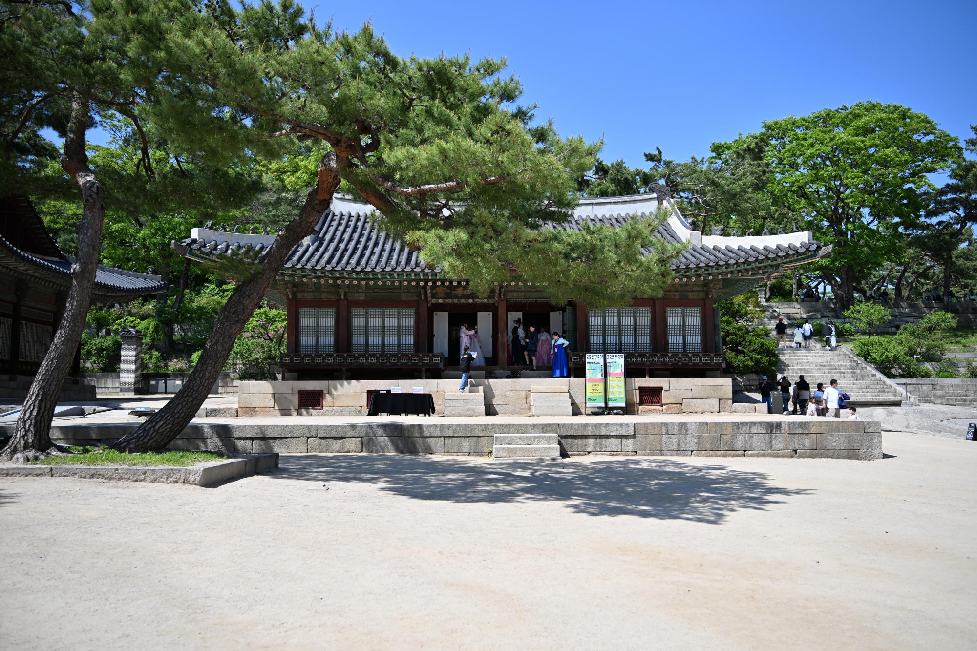 DSC_1031.JPG