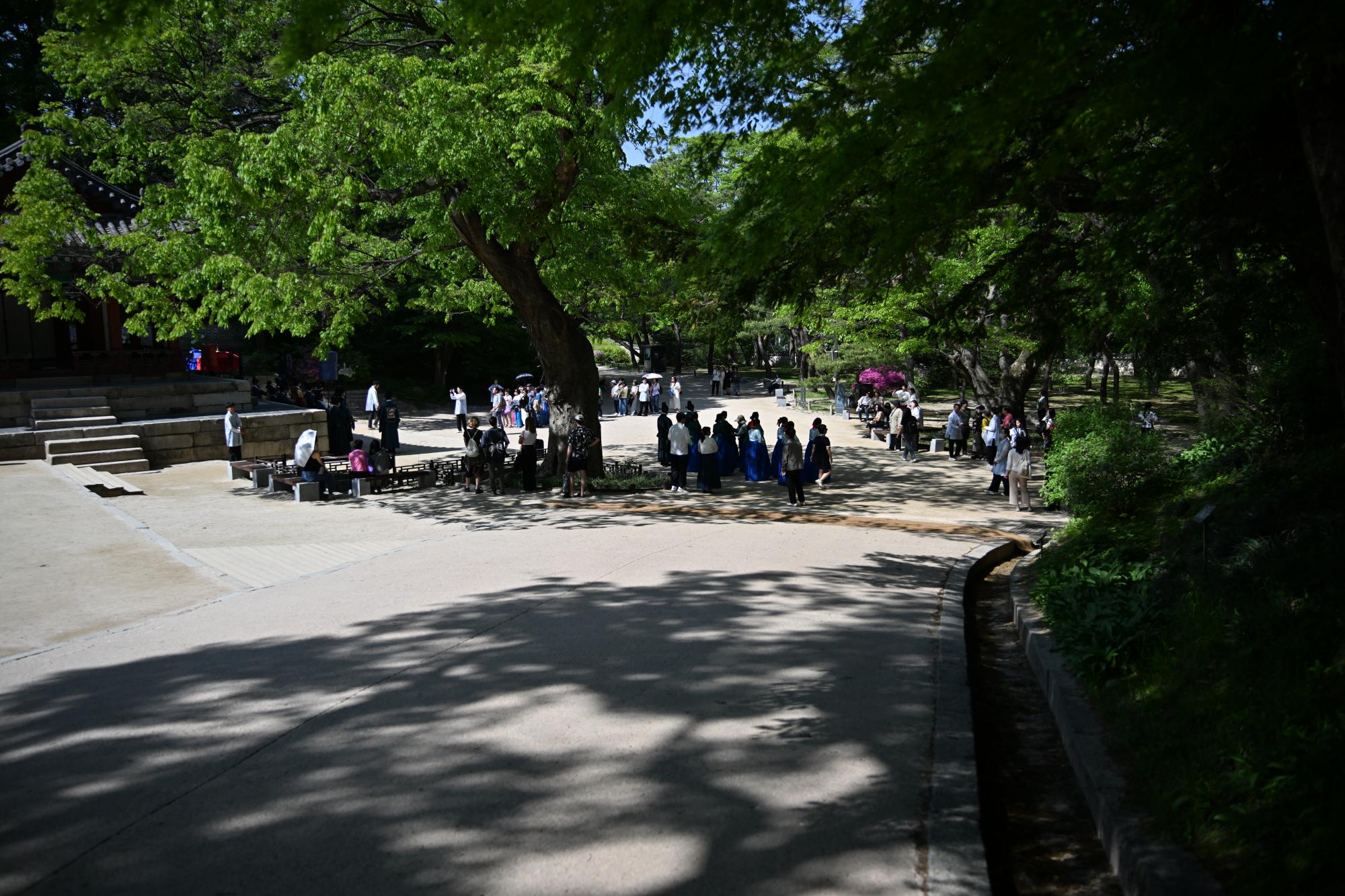 DSC_1074.JPG