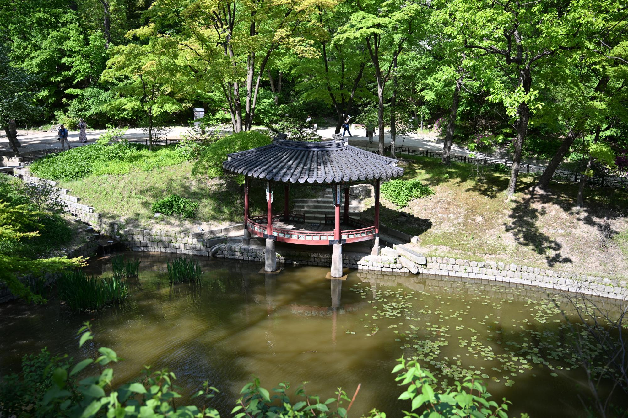 DSC_1114.JPG