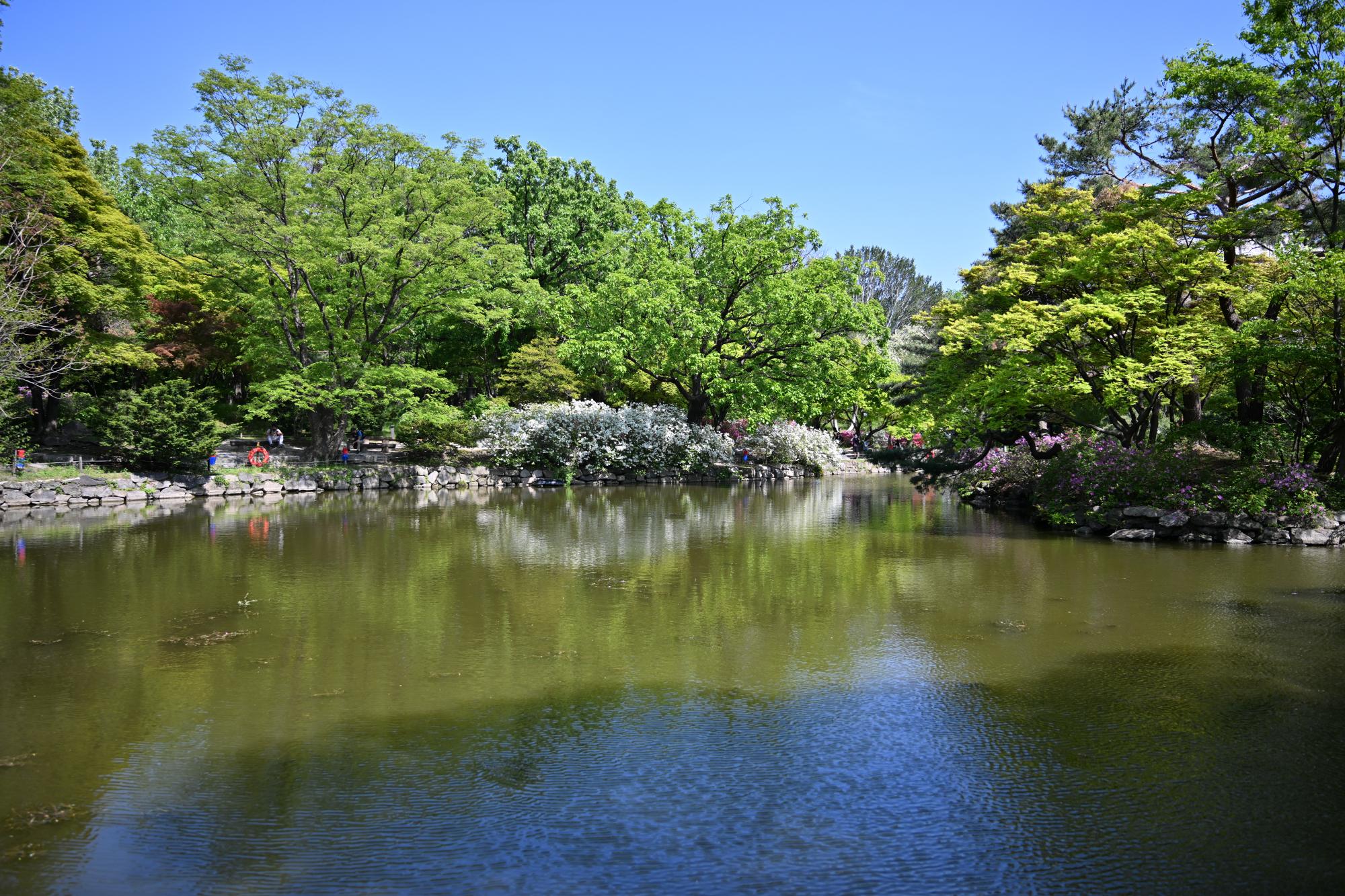 DSC_1061.JPG