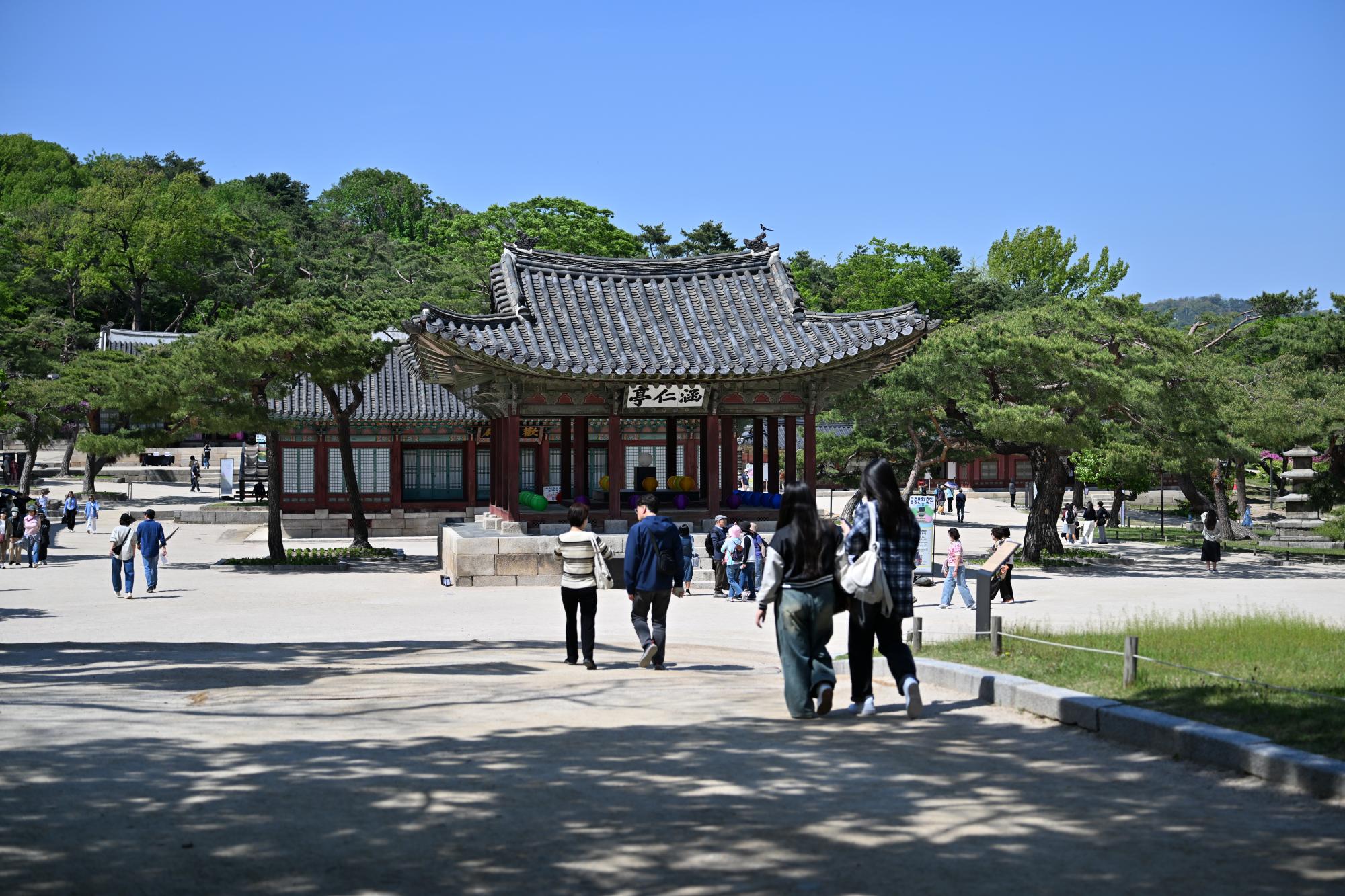 DSC_1038.JPG