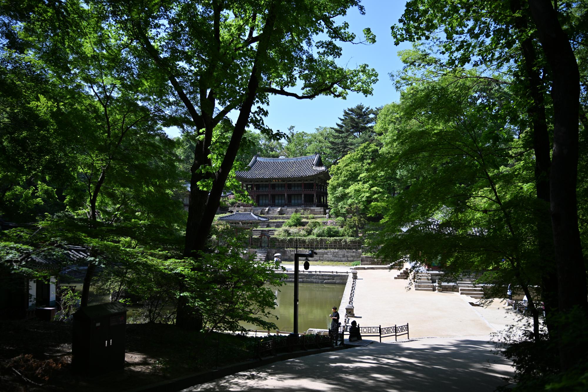 DSC_1073.JPG