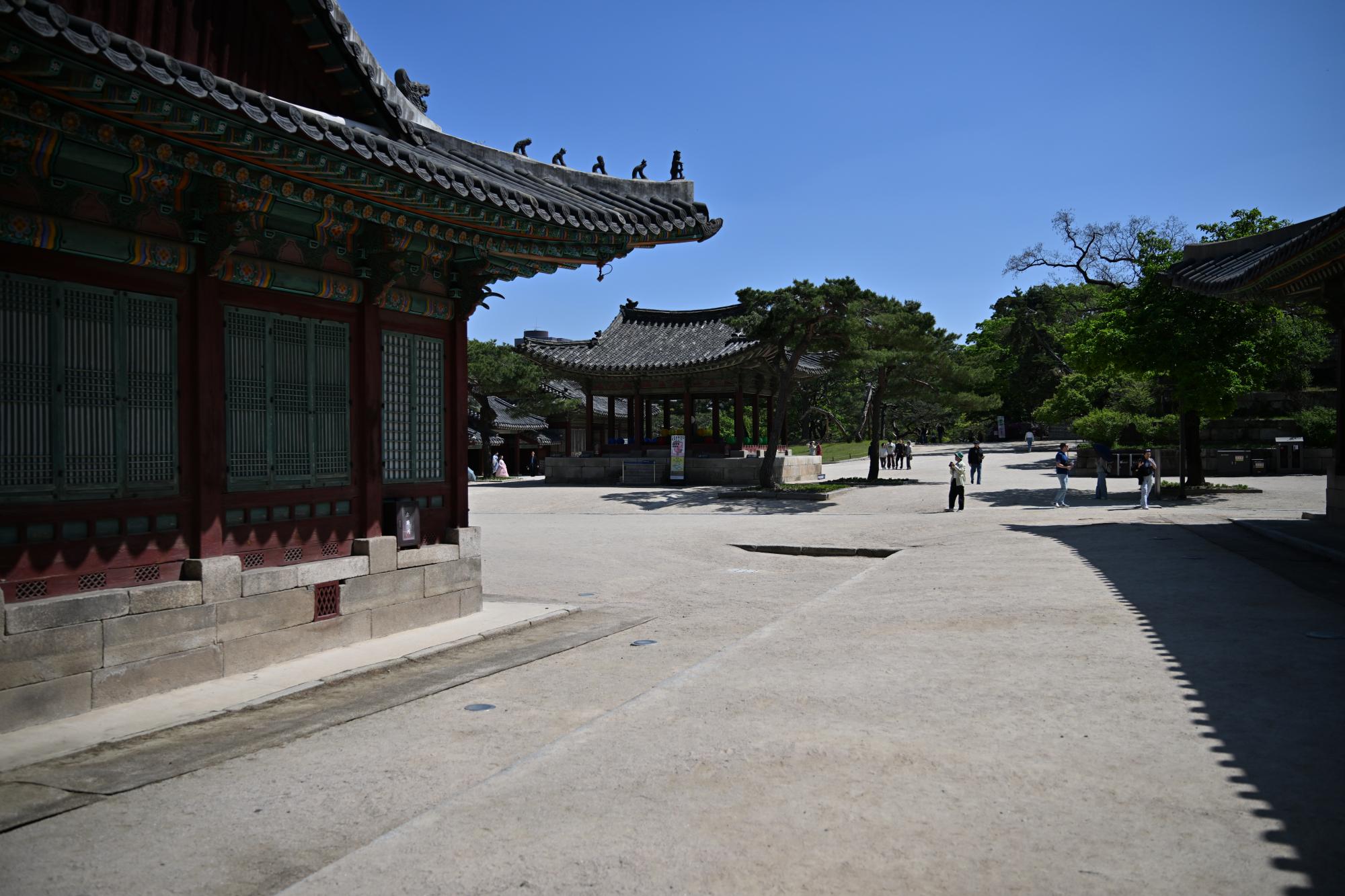 DSC_1034.JPG