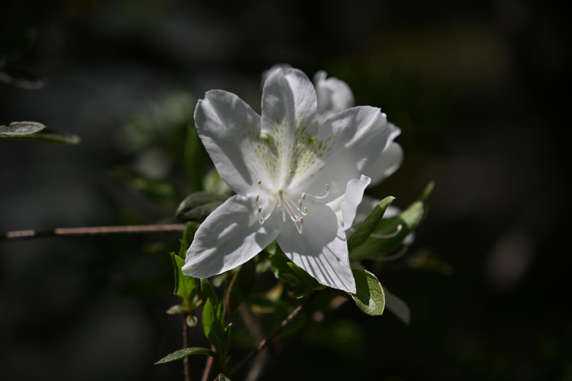 DSC_1058.JPG