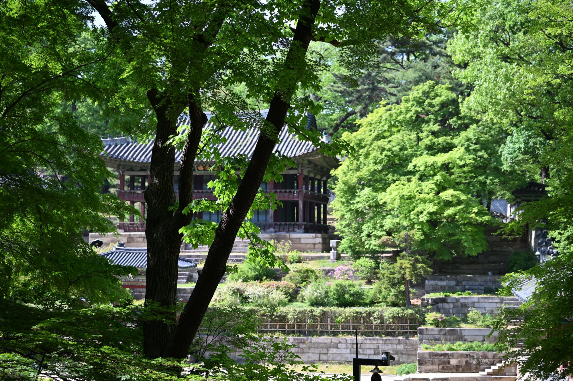 DSC_1071.JPG
