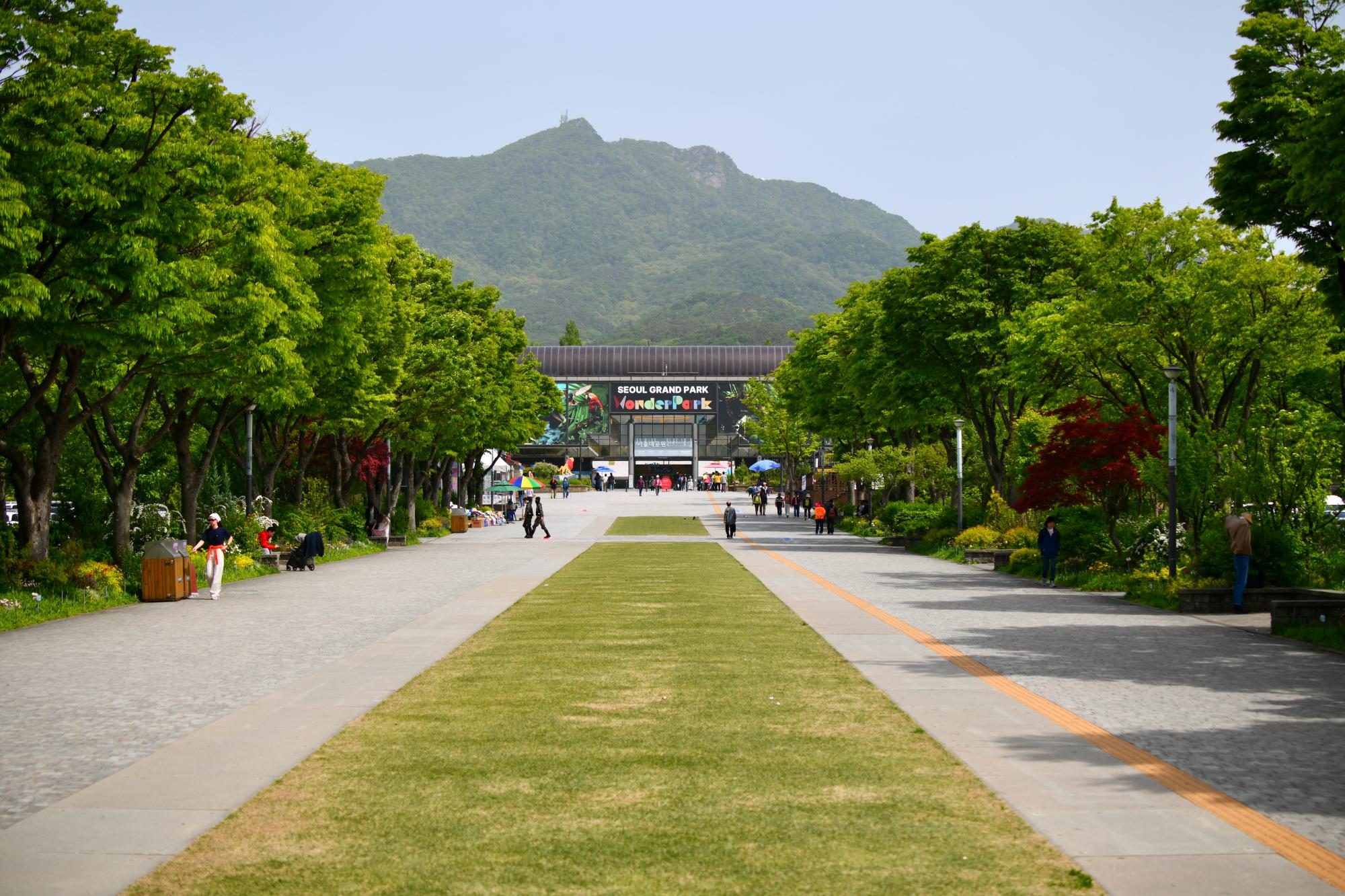 DSC_3910(1).jpg