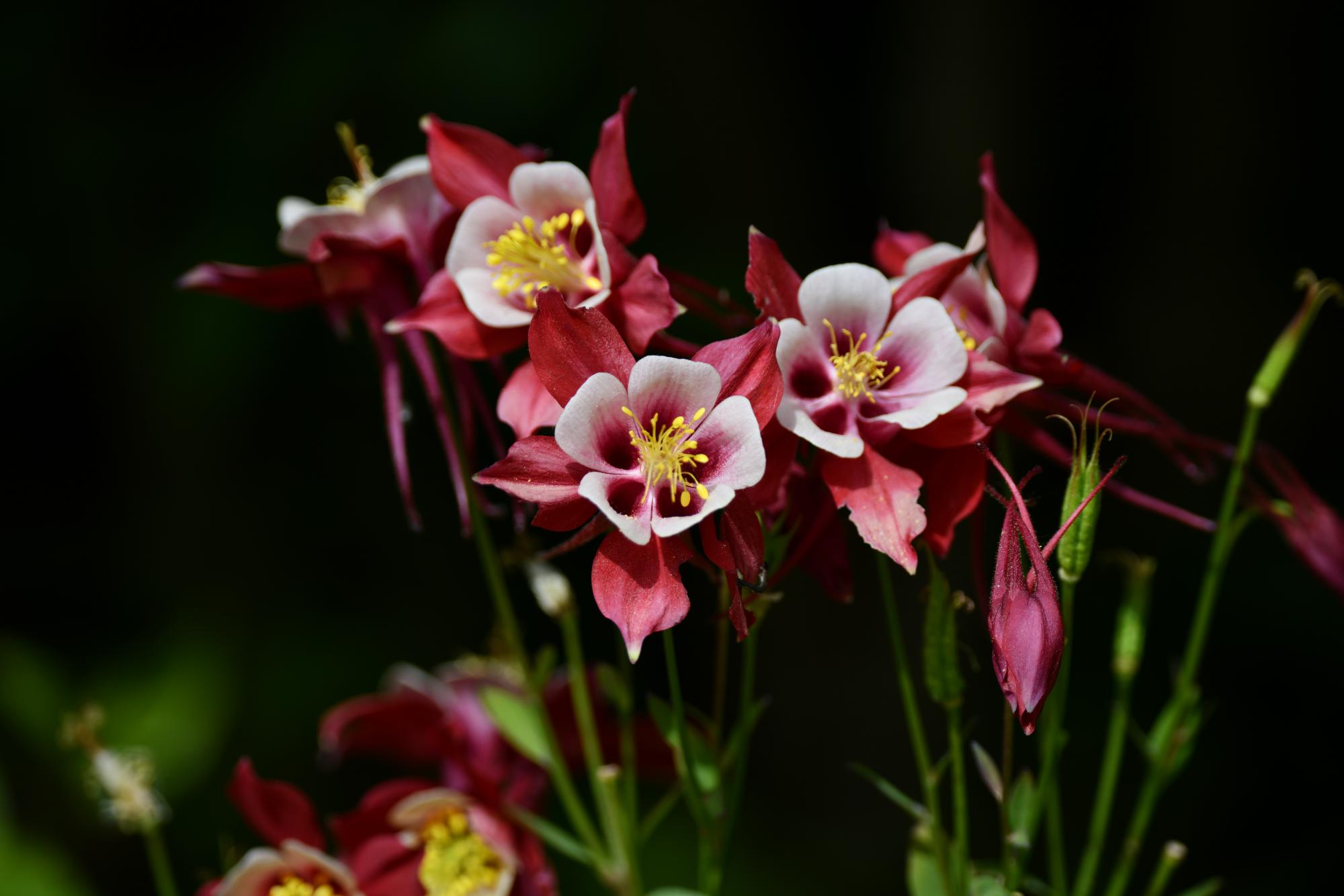 DSC_3972.JPG