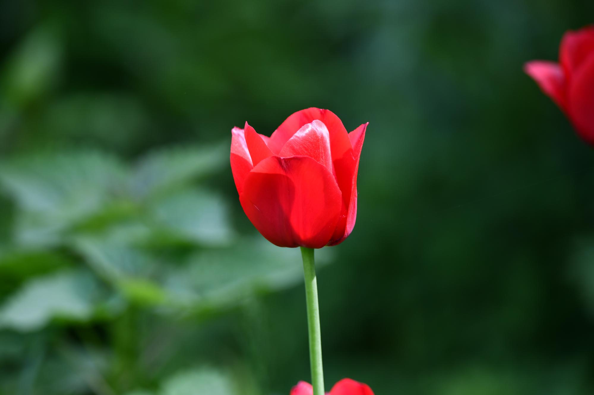DSC_3950.JPG