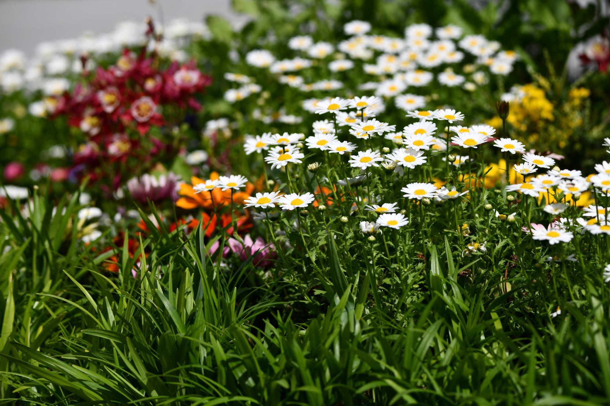 DSC_3943.JPG