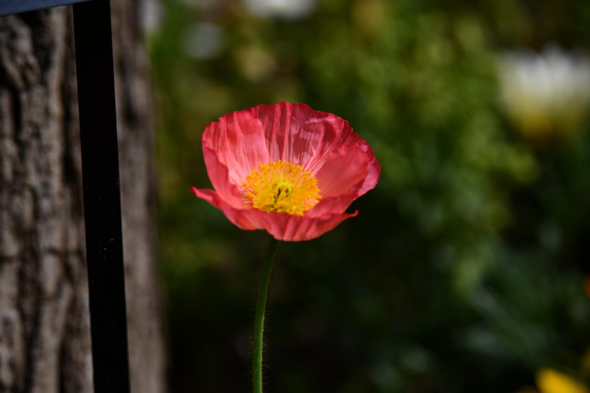 DSC_3974.JPG
