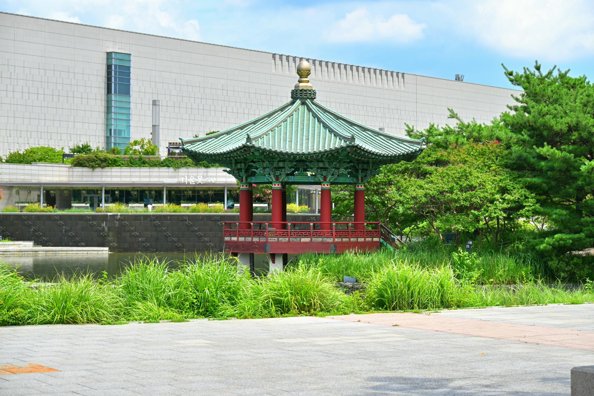 DSC_1643.JPG
