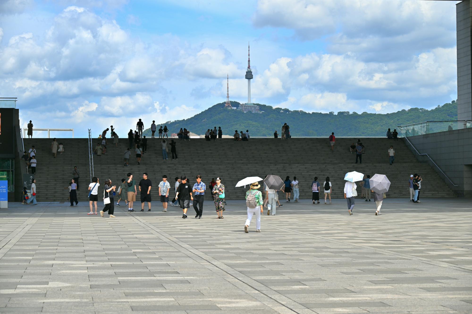 DSC_1652.JPG