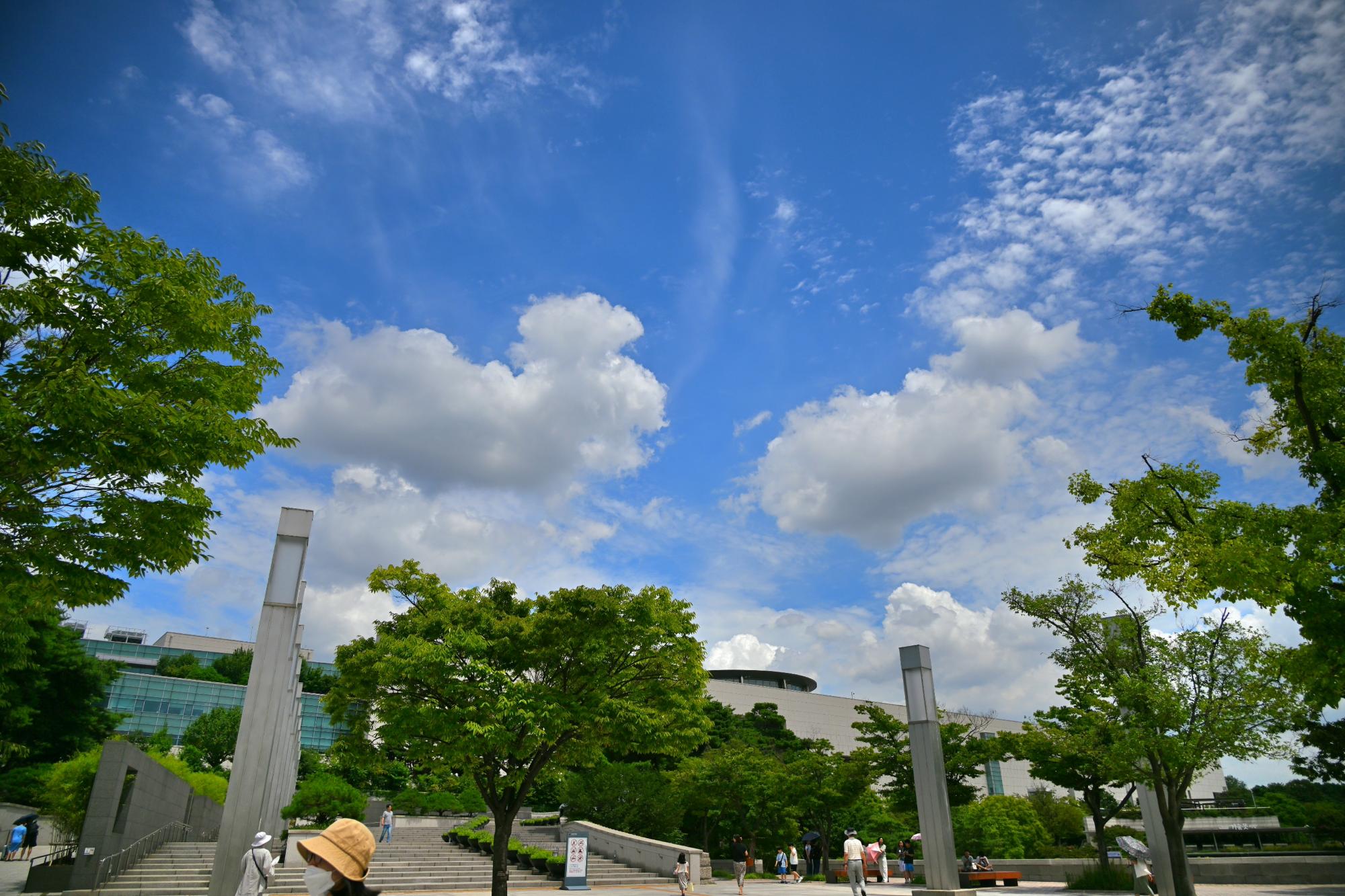 DSC_1645.JPG