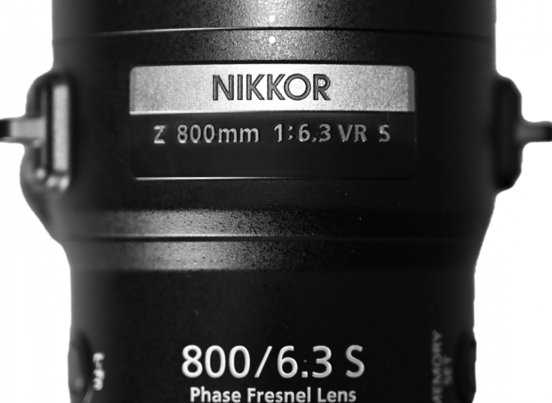 DSC_0251.png