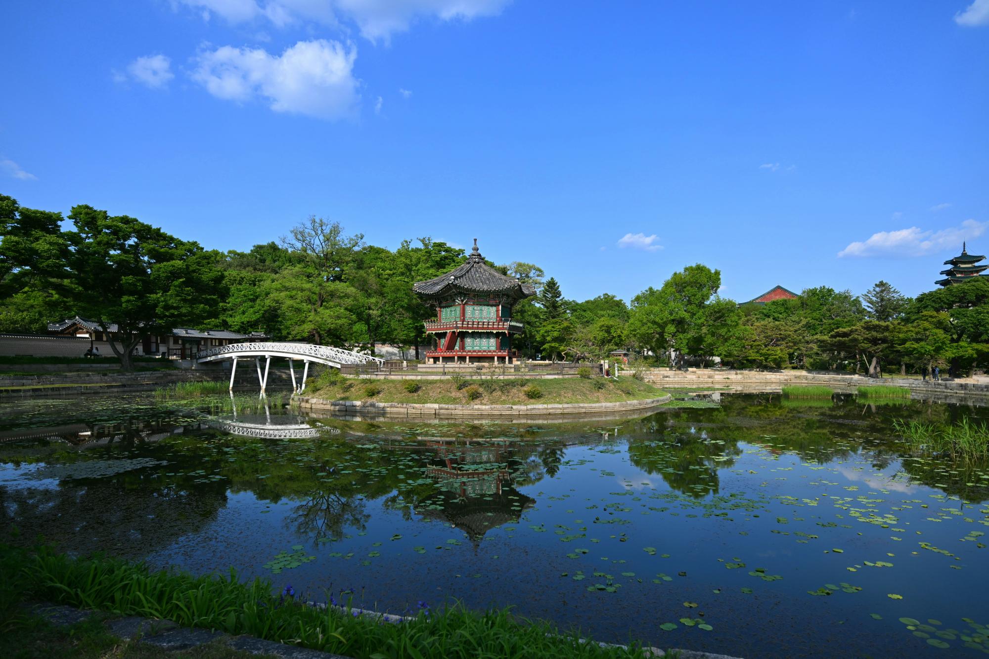 DSC_3599.jpg