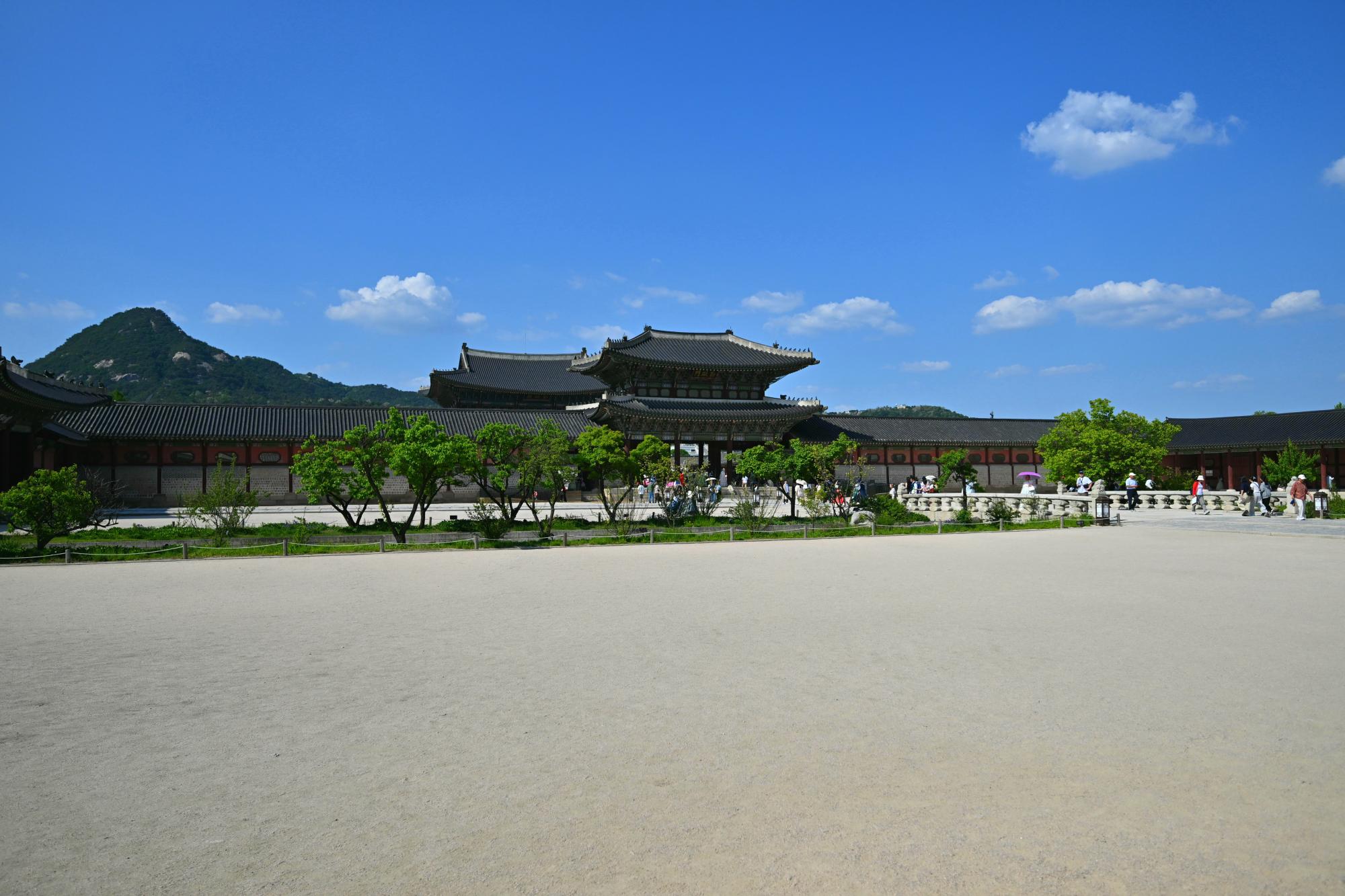 DSC_3494.jpg