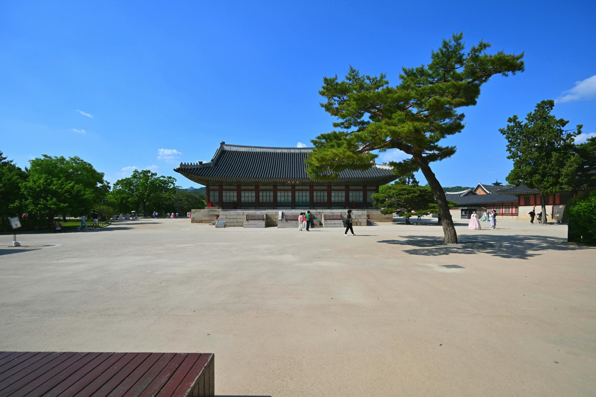 DSC_3506.jpg