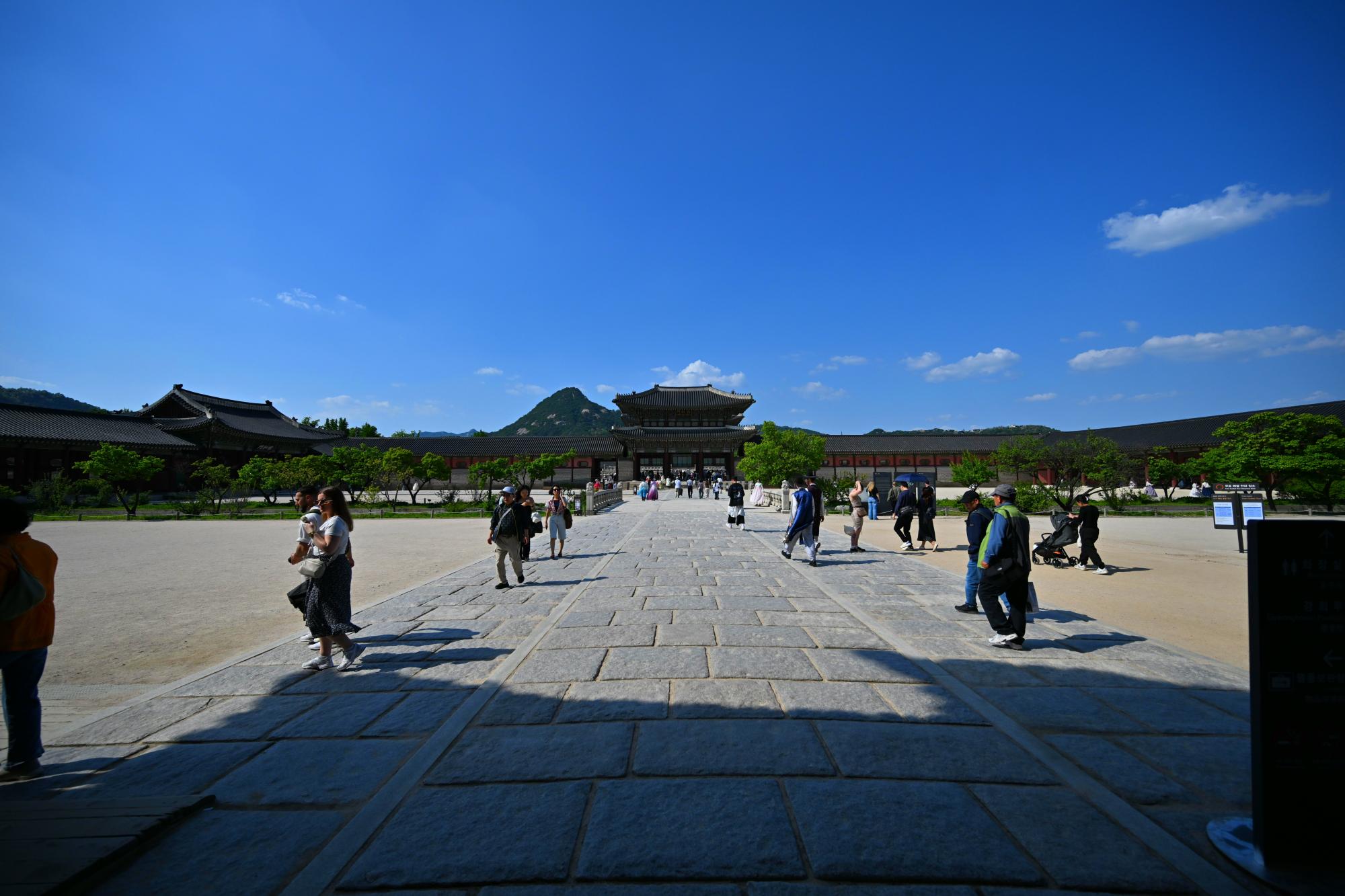 DSC_3498.jpg